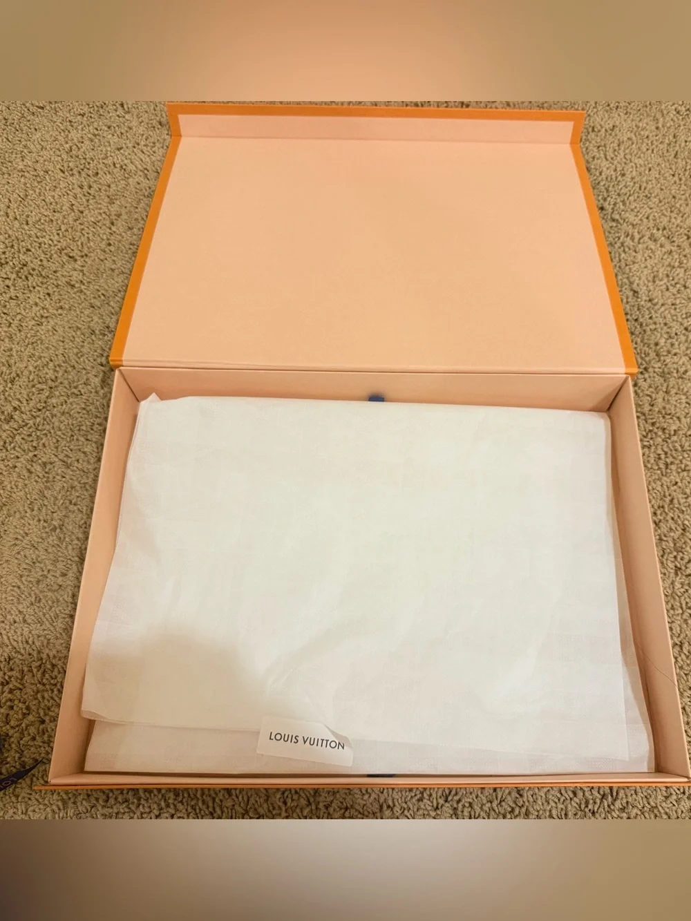Louis Vuitton authentic louis